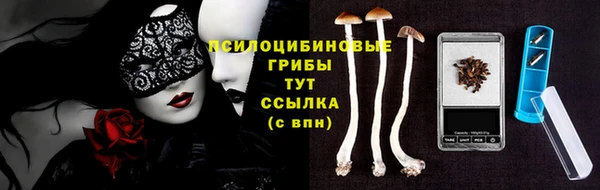 дурь Алексеевка