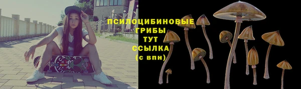 дживик Алзамай