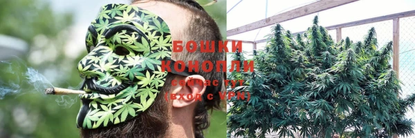 дурь Алексеевка