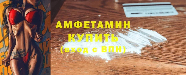 мет Алексин