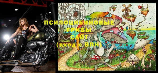 дурь Алексеевка