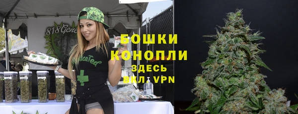 дурь Алексеевка