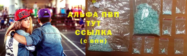 мет Алексин